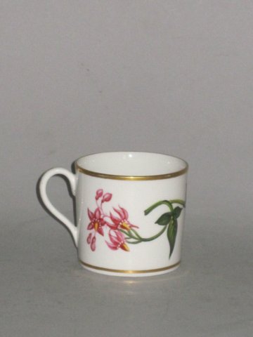 COALPORT BOTANICAL COFFEE CAN, CIRCA 1812-15 - Click to enlarge and for full details.